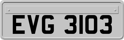 EVG3103