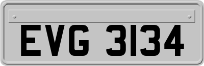 EVG3134