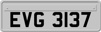 EVG3137
