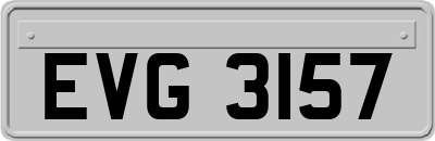 EVG3157