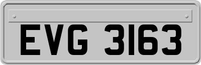 EVG3163