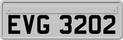 EVG3202