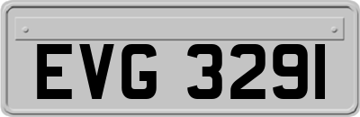 EVG3291
