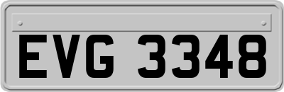 EVG3348