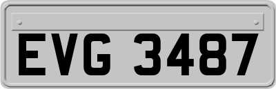 EVG3487