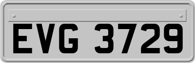 EVG3729