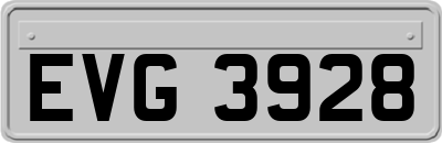 EVG3928