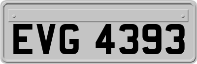 EVG4393