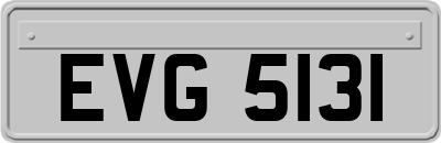 EVG5131