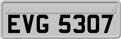 EVG5307