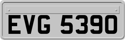 EVG5390