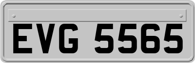 EVG5565