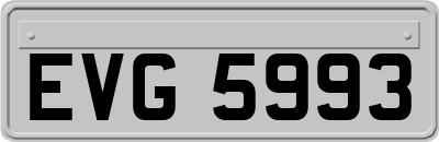 EVG5993