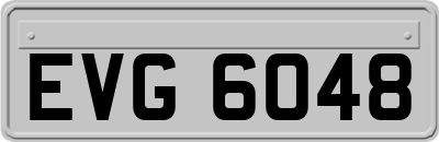 EVG6048