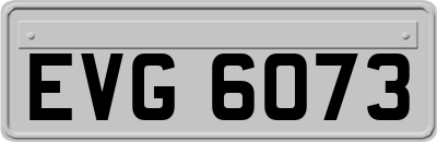 EVG6073