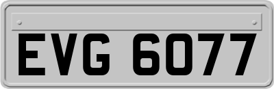EVG6077