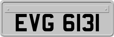 EVG6131