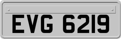 EVG6219