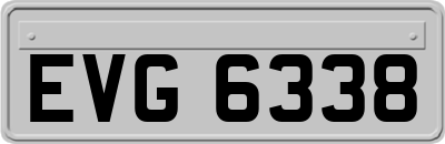 EVG6338