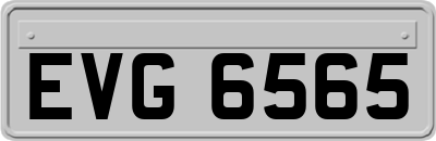 EVG6565