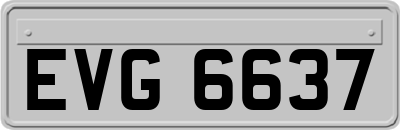 EVG6637