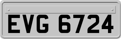 EVG6724