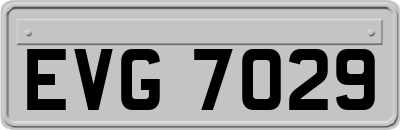 EVG7029