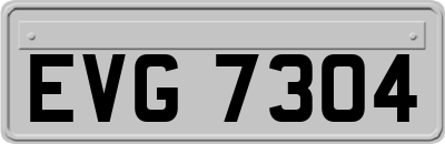 EVG7304