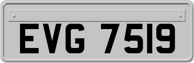 EVG7519