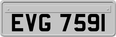 EVG7591