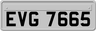 EVG7665