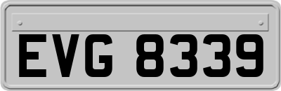 EVG8339
