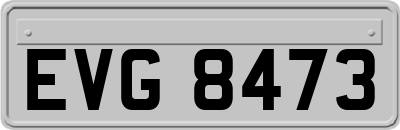 EVG8473