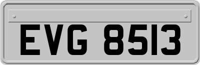 EVG8513