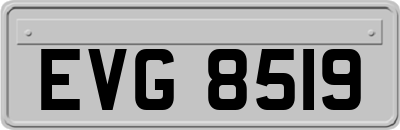 EVG8519