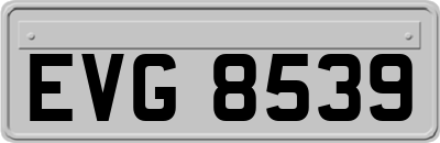 EVG8539