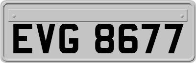 EVG8677