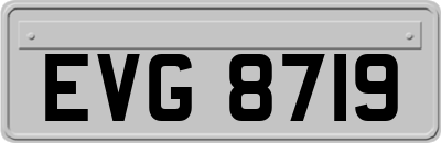 EVG8719