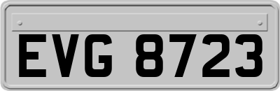EVG8723