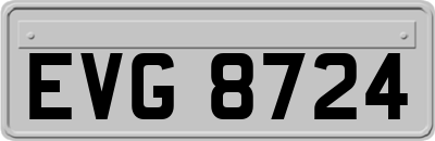 EVG8724