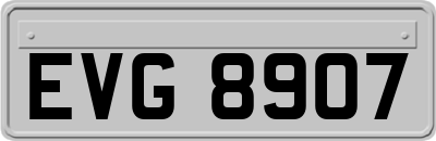 EVG8907
