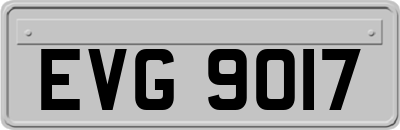 EVG9017