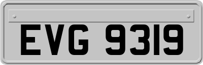 EVG9319