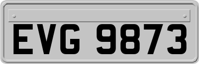 EVG9873