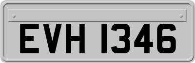 EVH1346
