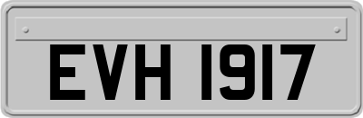 EVH1917