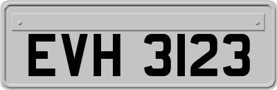 EVH3123