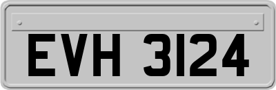EVH3124