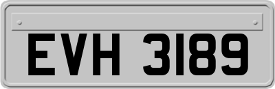 EVH3189