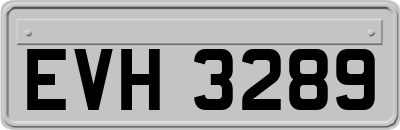 EVH3289
